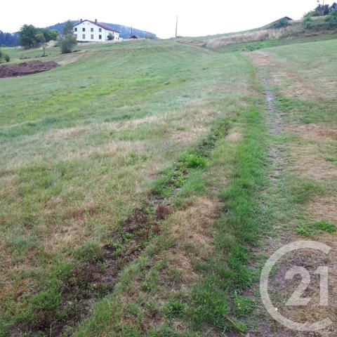 Terrain à vendre  2866 m2 LE THOLY - 88