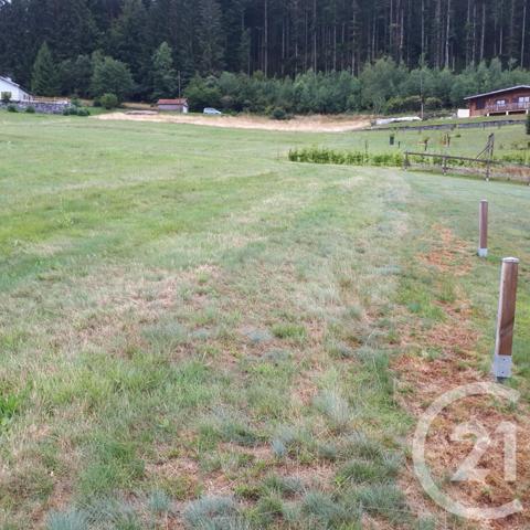 Terrain à vendre  2866 m2 LE THOLY - 88