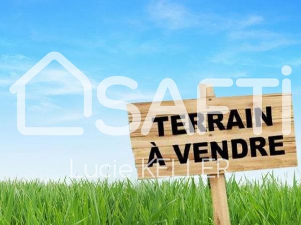Magnifique terrain de 38 ares 90