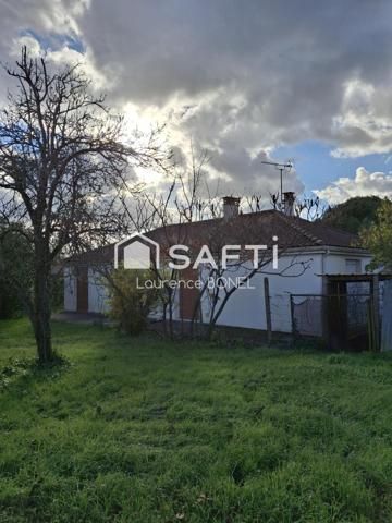 PARFAIT POUR UN PREMIER ACHAT !