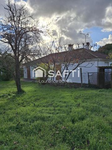 PARFAIT POUR UN PREMIER ACHAT !