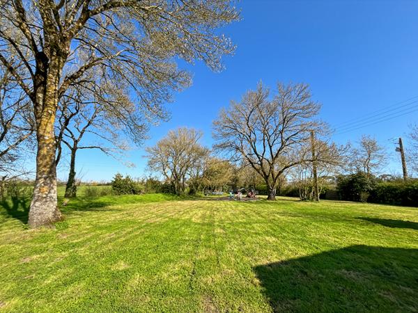 Maison en pierres rénovée de plus de 200 m² avec pièce de vie de 70 m², suite parentale exceptionnelle et dépendances ! Environnement arboré à Challans