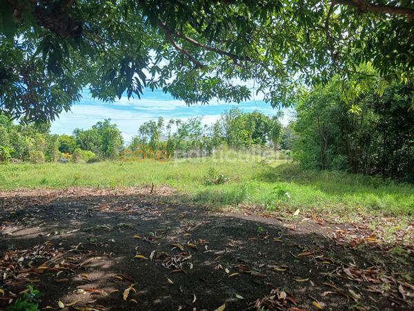 Vente
                Terrain749 m² - SAINTE ANNE (97180)