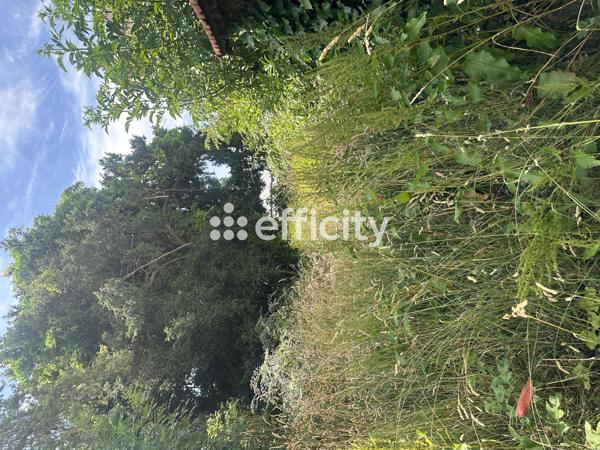 Maison 6 pièces - 140 m²