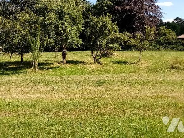 sur les hauteurs, ferme avec aisances, dépendances et terrain attenant et non attenant  de 13818 m²