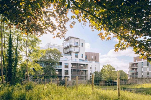 Calme et Harmonie – Appartement 3 pièces – Oberthur