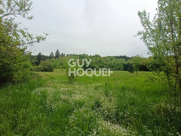 Leigneux - Charmante maison de famille