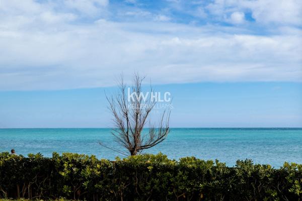Front de mer : 2 pièces avec jardin de 175 m² – Rare Opportunité à Villeneuve Loubet
