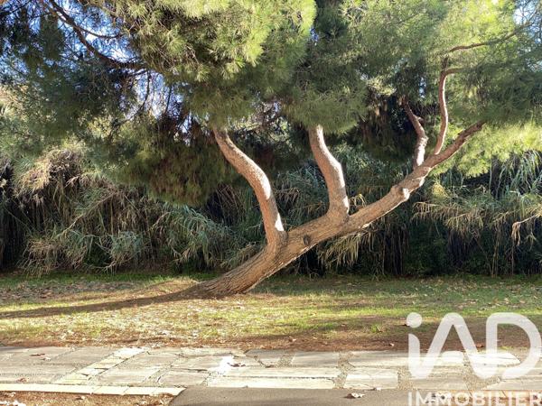 Appartement à vendre 3 pièces 40 m² Agde