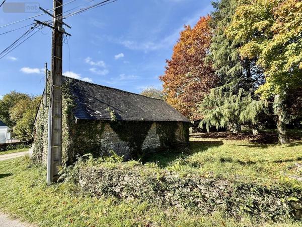 Maison à vendre à Pluneret dans le Morbihan (56400), ref : 56024-791