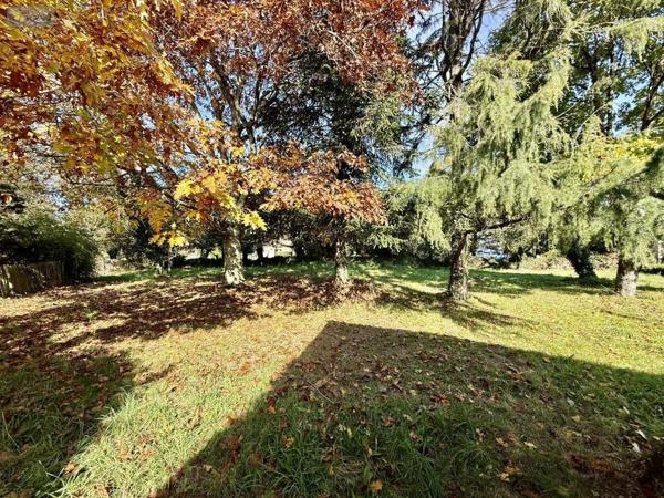 Maison à vendre à Pluneret dans le Morbihan (56400), ref : 56024-791