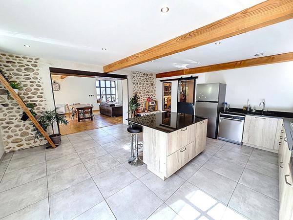 CHARME, VOLUMES ET RAFFINEMENT ANCIEN CORPS DE FERME RÉNOVÉ À PAMIERS