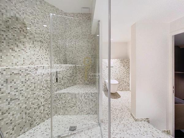TRIANGLE D'OR - WESTMINSTER - BEAU TRIPLEX