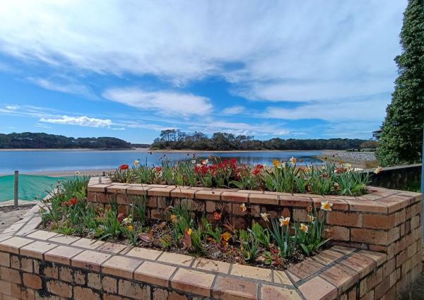 Investissement locatif - rentabilite nette 6.34%