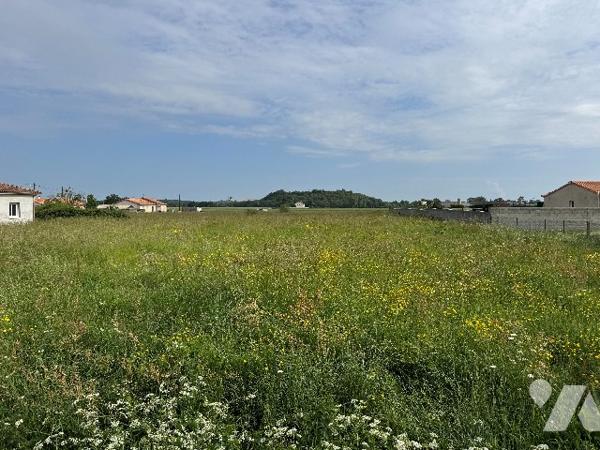 Terrain constructible à l'entrée de Glénay