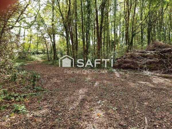 Terrains constructible fort potentiel