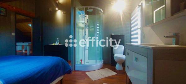 Maison 9 pièces - 248 m² Bien prestige