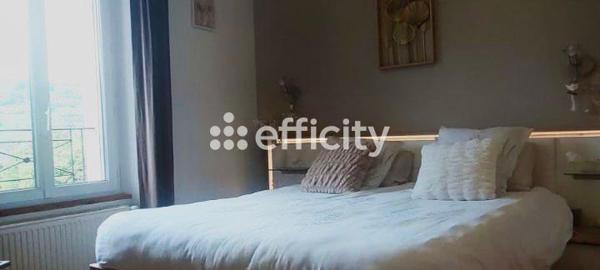 Maison 9 pièces - 248 m² Bien prestige