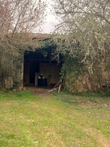 Proche Bazas- Maison en Pierre - 4 chambres et dépendances - 8 hectares 610(ha) -GIRONDE AQUITAINE (33)