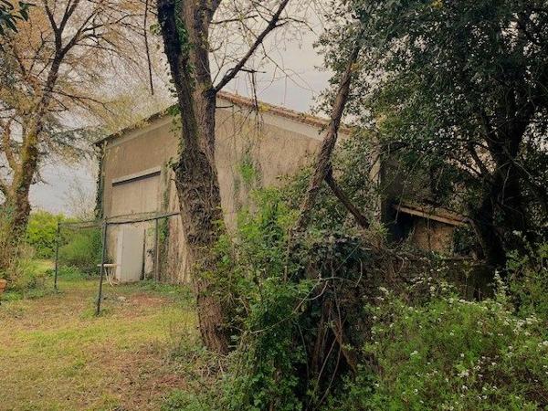 Proche Bazas- Maison en Pierre - 4 chambres et dépendances - 8 hectares 610(ha) -GIRONDE AQUITAINE (33)