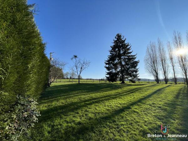 Ensemble de 2 maisons sur 2 hectares à Vimartin sur Orthe