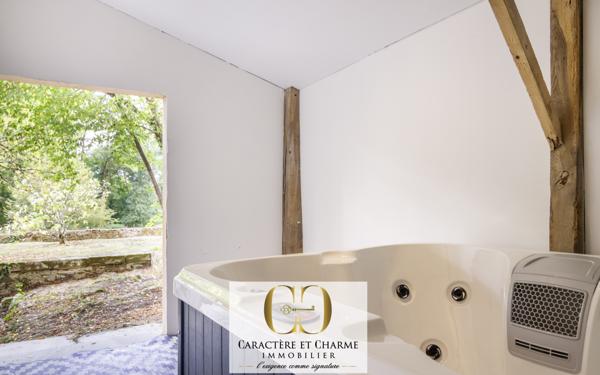 Beynac-et-Cazenac (24220) Beynac. Maison en pierre restaurée 200 m2 - jardin - Spa - Vue Château.