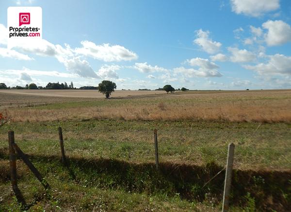 Maison Ligueil 11 pièce(s) 187 m2