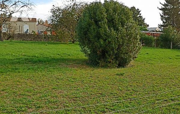 TERRAIN A BATIR ENVIRON 1200 m²