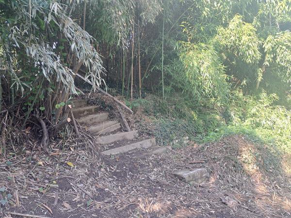 Terrain de loisirs avec maisonnette