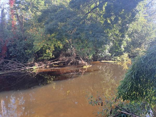 Terrain de loisirs avec maisonnette