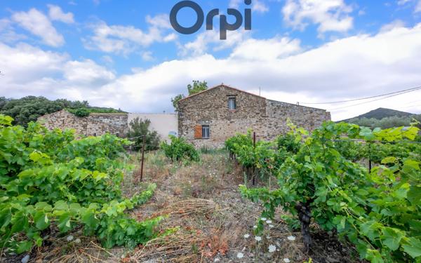 Maison à vendre    4 pièces •  Tautavel