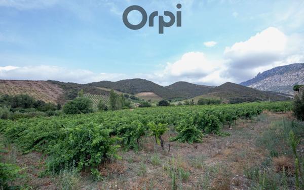 Maison à vendre    4 pièces •  Tautavel