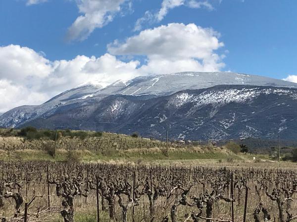 Faucon (84110) Propriété avec chambre d'hôte, gite et piscine dans environnement préservé sur 10 hectares environ.