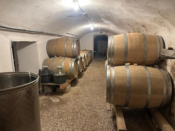 Faucon (84110) Propriété avec chambre d'hôte, gite et piscine dans environnement préservé sur 10 hectares environ.