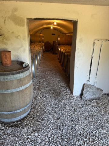 Faucon (84110) Propriété avec chambre d'hôte, gite et piscine dans environnement préservé sur 10 hectares environ.