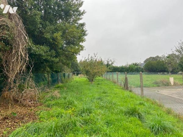 Entre Combrit et la voie expresse  Terrain (B828)