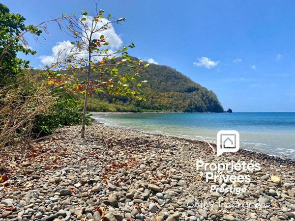 Terrain 4000 m2 accès littoral -Pointe Noire, Guadeloupe