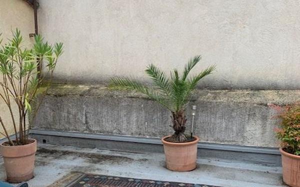 Appartement à louer    2 pièces • 55,49 m2 Sommières