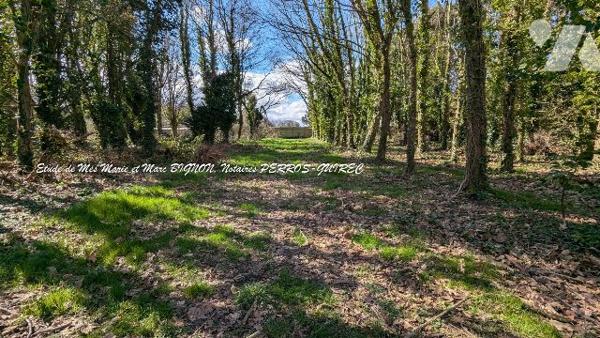 Maison à vendre Louannec