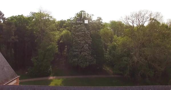 SOLOGNE – château en parfait état, parc 18 HA – 1h45 mn de Paris