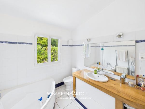 Villa vue montagne avec piscine et 3 dépendances