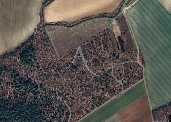 TERRAIN ROUMOULES 37641 m2 AGRICOLE ET LOISIRS