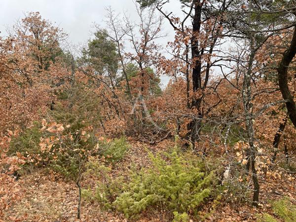 TERRAIN ROUMOULES 37641 m2 AGRICOLE ET LOISIRS