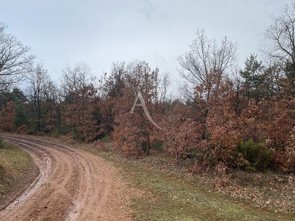 TERRAIN ROUMOULES 37641 m2 AGRICOLE ET LOISIRS
