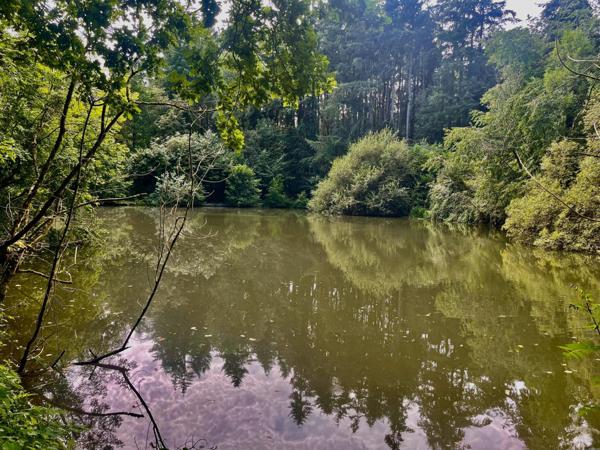 Maison à Saint-Planchers, 50400 - 7 pièces 130m²