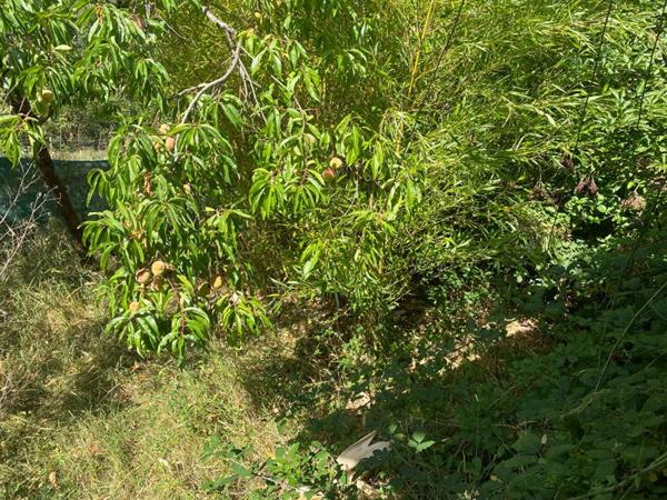 Maison Belabre 3 pièce(s) 52 m2