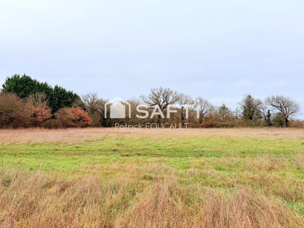 Terrain 11077m2 dont 6647m2 constructibles