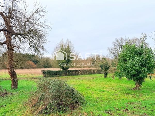 Terrain 11077m2 dont 6647m2 constructibles