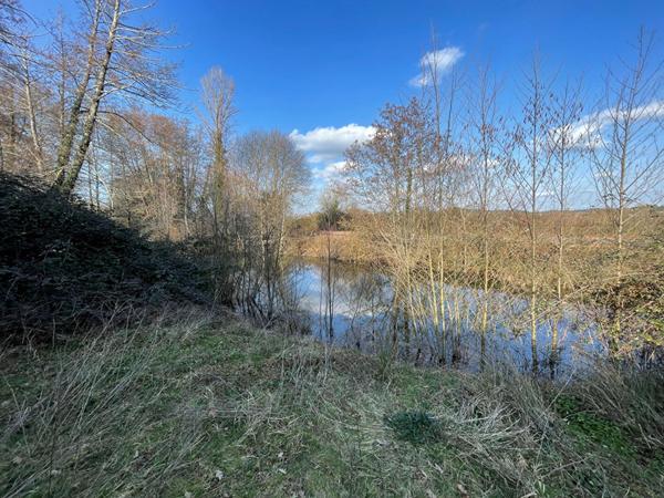 Terrain contructible - 1943 m2