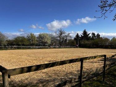 Divers à vendre à Porcaro dans le Morbihan (56380), ref : 56046-1353